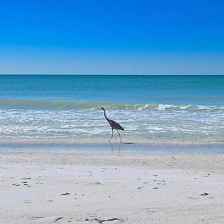 Villa 206 Marco Island